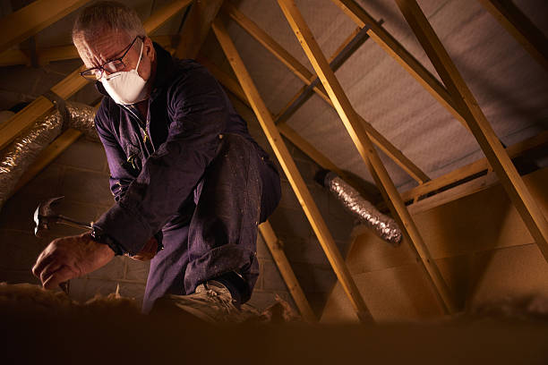 Trusted Buchanan, NY Insulation Contractor Experts